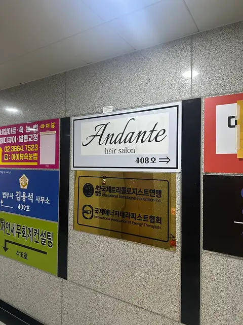 안단테 사진 7