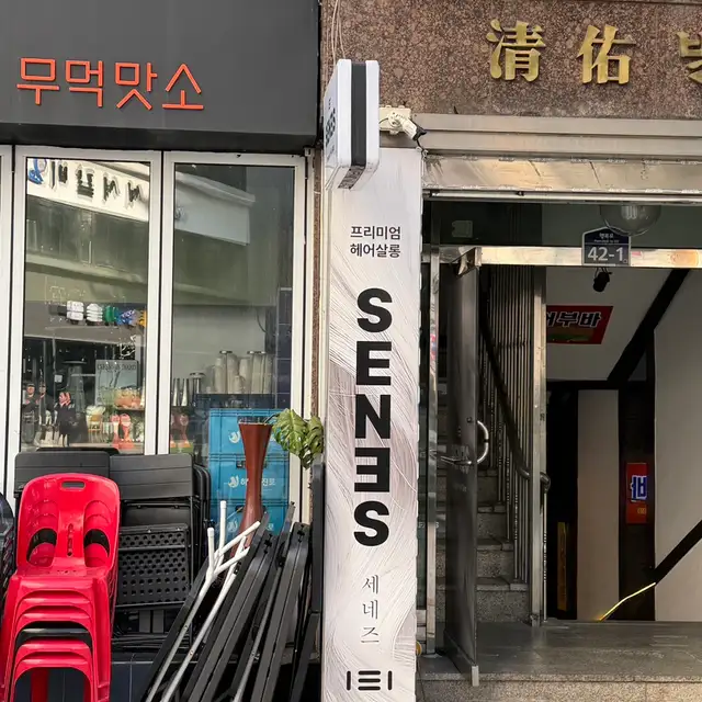 세네즈 헤어 사진 6