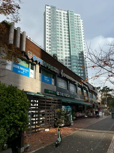 온미래쉬 사진 2