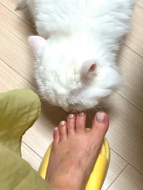 데일리네일 사진 1