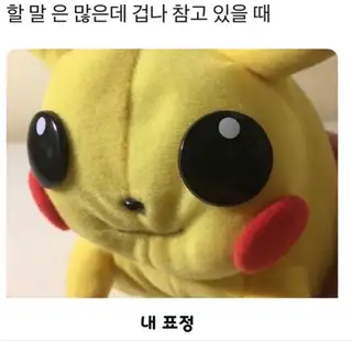 체체 사진