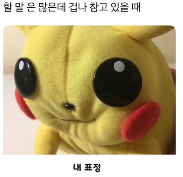 체체 사진 1