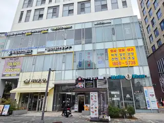 드네일르 사진