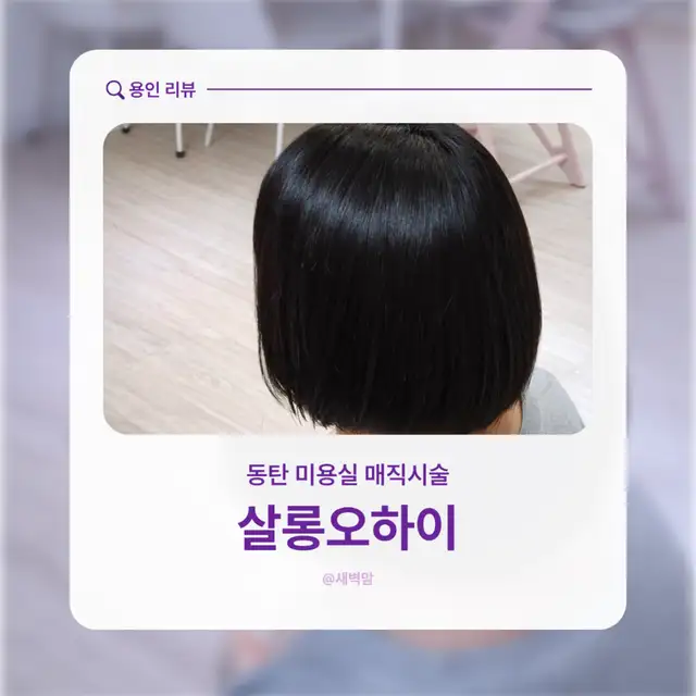 살롱오하이 사진 5