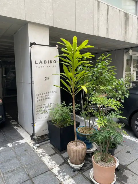 라지노 합정역점 사진 1