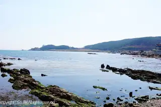 다소다 사진