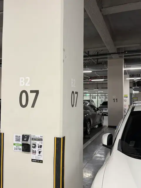모아르헤어 사진 8