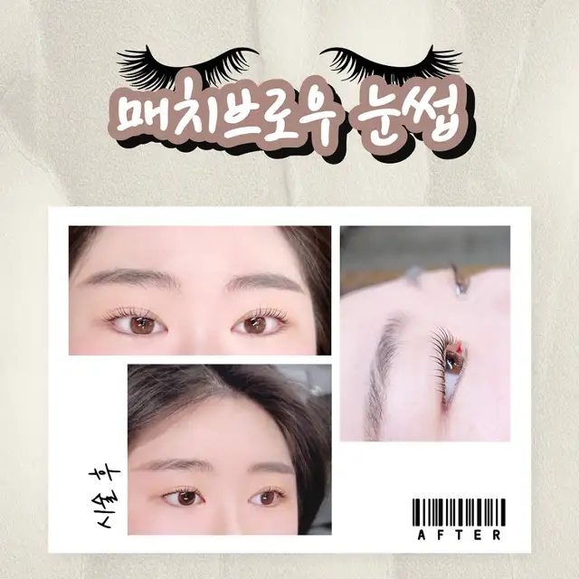 매치브로우 사진 3