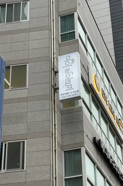 아이라이크미 서면속눈썹 사진 4