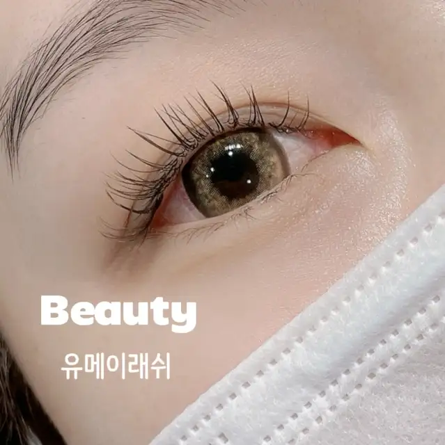 유메이래쉬 사진 3