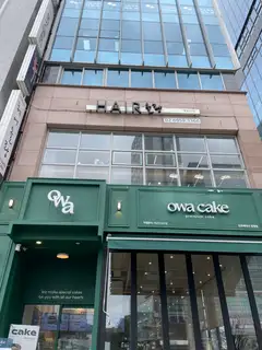 올랑 새로이점 사진