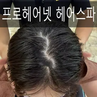 프로헤어넷 사진