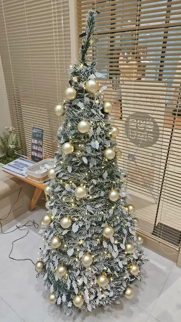 라엘라에스테틱 사진 8