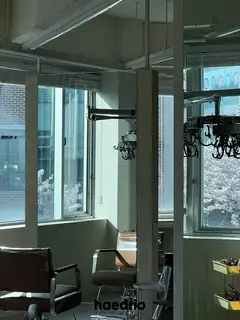 오제데이즈 사진