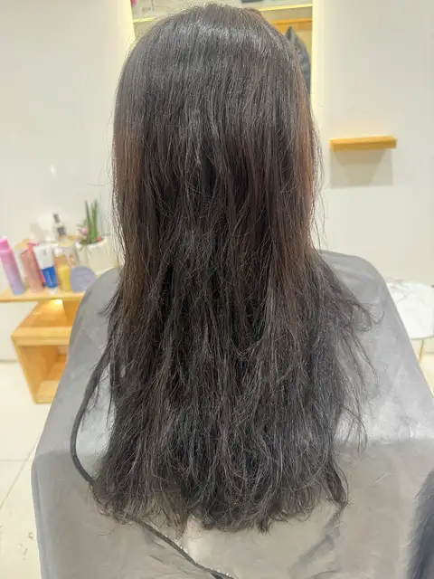 센느 사진 5