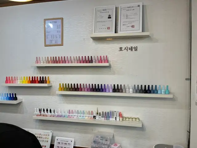 호시네일 사진 4