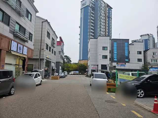마녀눈썹 사진 5