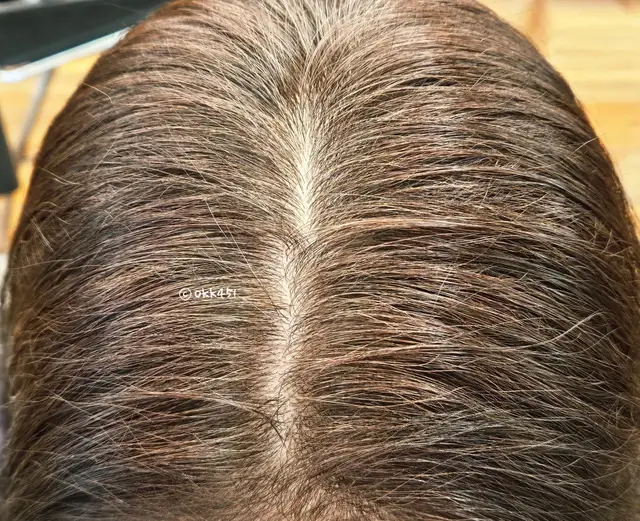 하이컬러 사진 6