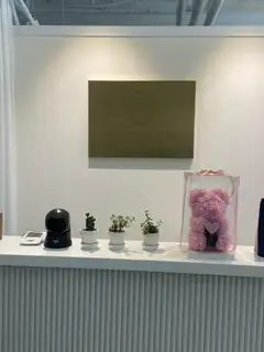 디오 에스테틱 사진