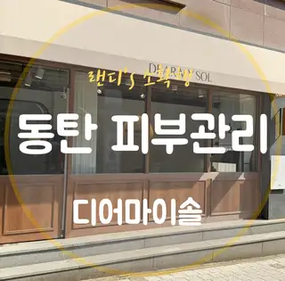 디어마이솔 사진