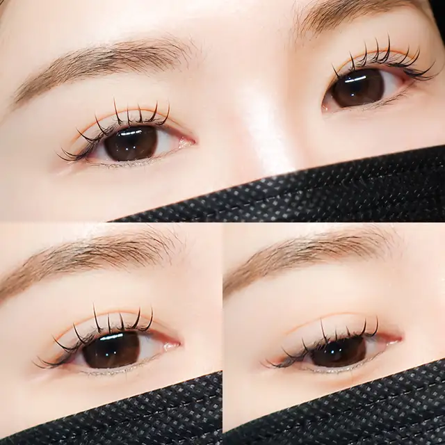 포쉬래쉬 사진 3