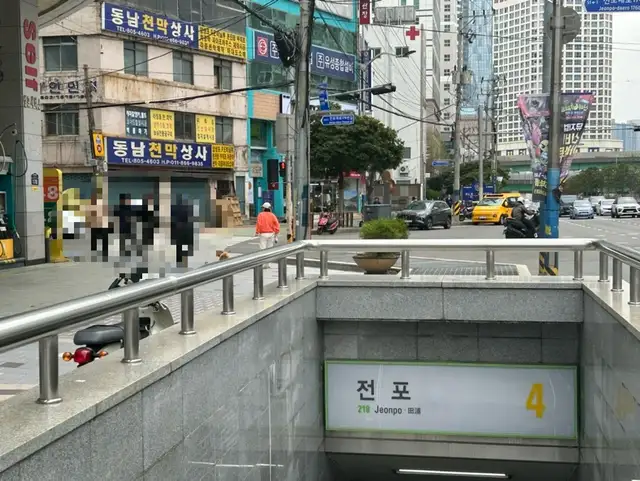 리리브로우 사진 3