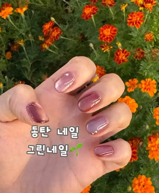 그린네일 사진 1