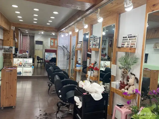 니드헤어 사진 2
