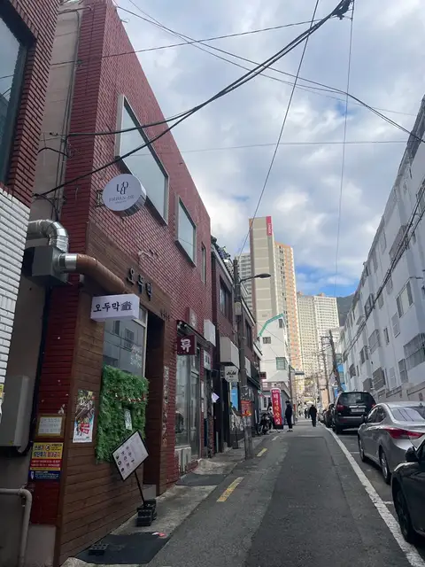 어반드뷰티 사진 4