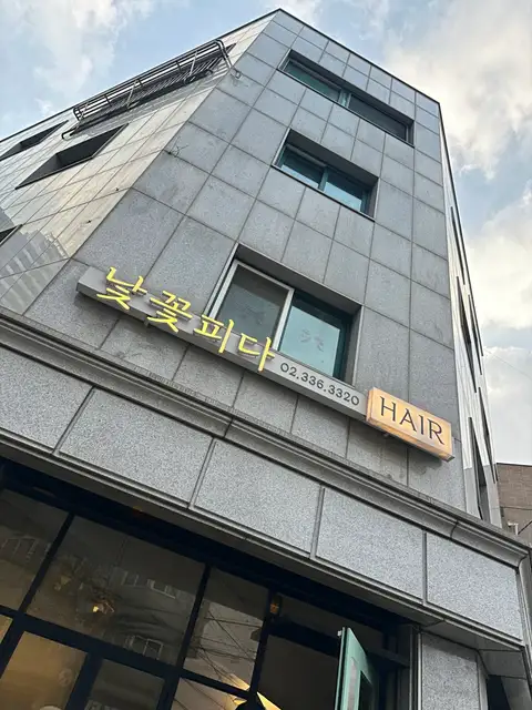 낯꽃피다 사진 3