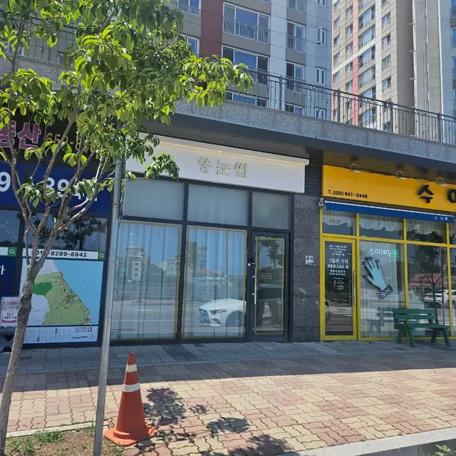 쏭눈썹 사진 6
