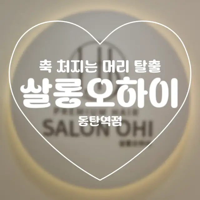 살롱오하이 사진 3