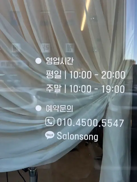 살롱 송 사진 8