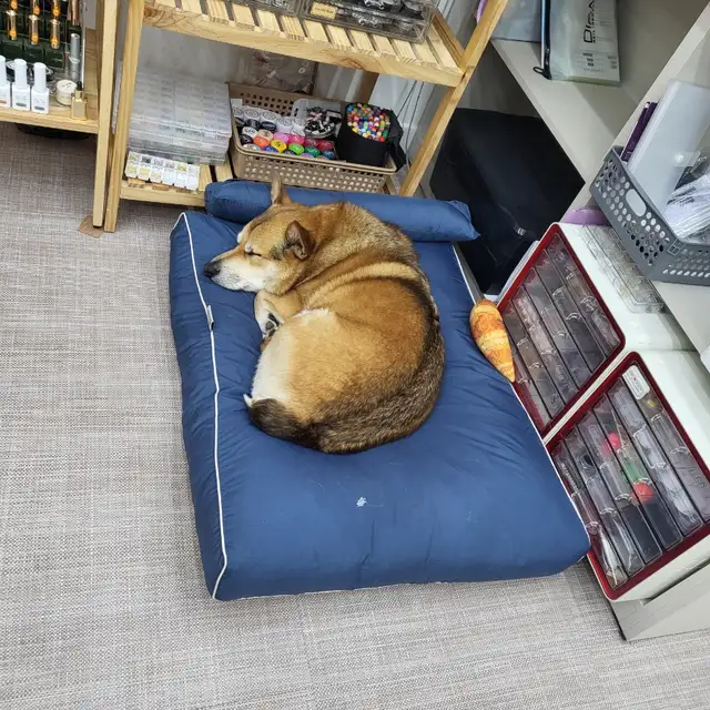 하루민네일 사진 6