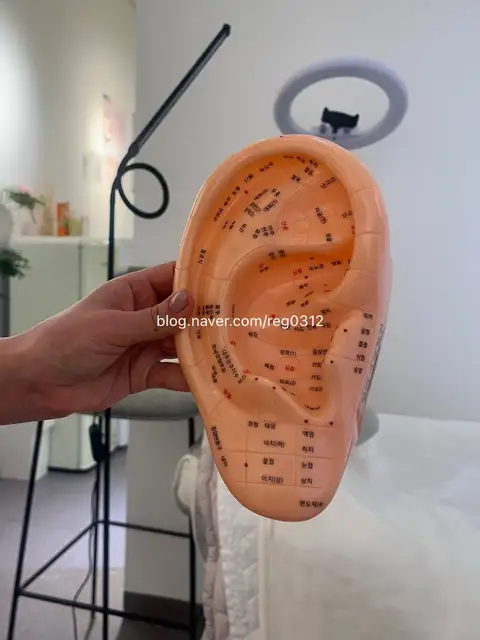 오렌지브로우 사진 8
