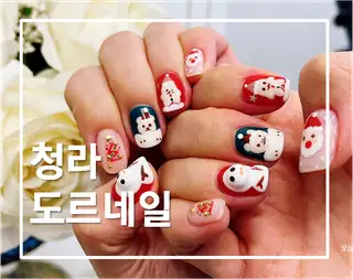 도르네일 사진