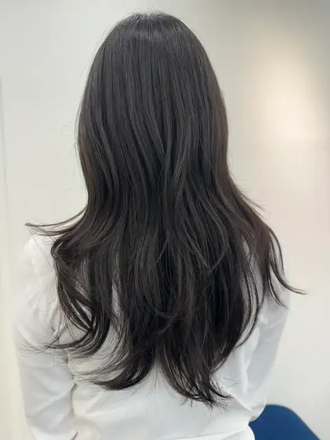 아르더헤어 사진 6