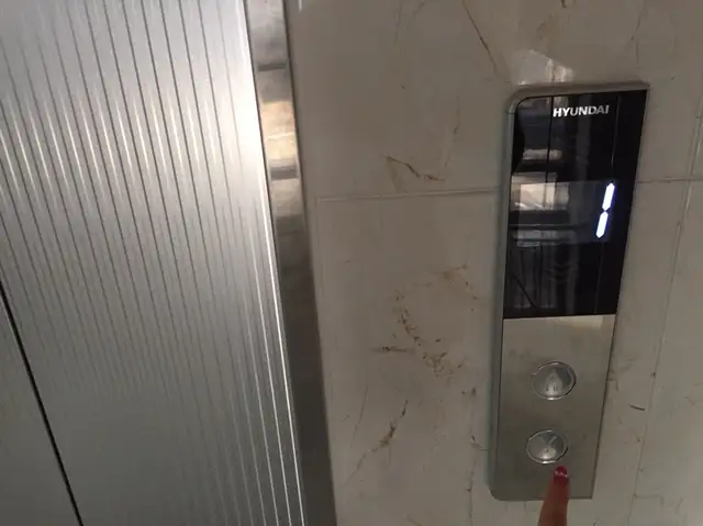 티앤리 동탄호수점 사진 8