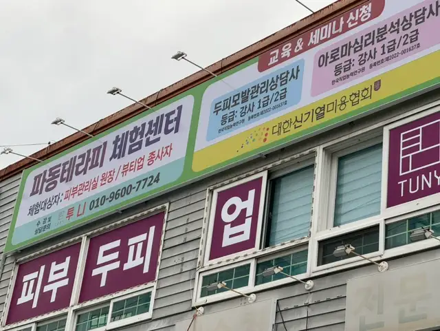 투니 사진 1