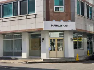 마할로헤어 사진