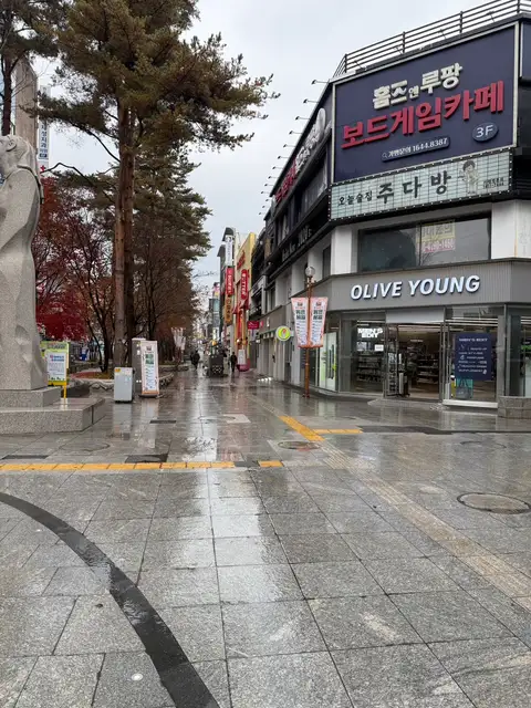 리오라 사진 3
