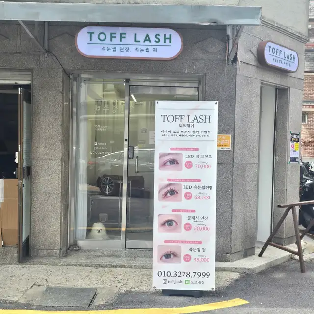 토프래쉬 사진 6