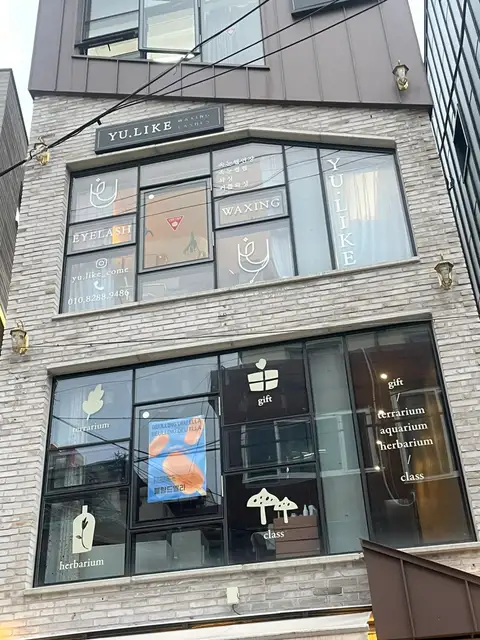 유라이크 사진 8