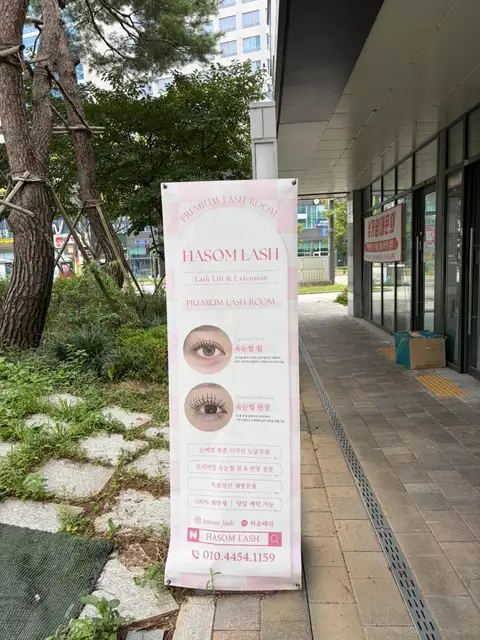 하솜래쉬 사진 8