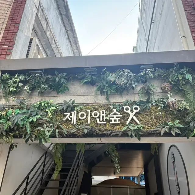 제이앤숲 사진 5