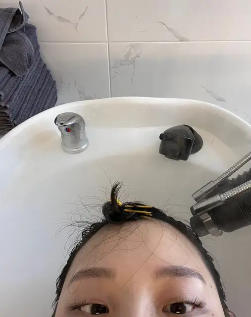 호헤어 사진 4
