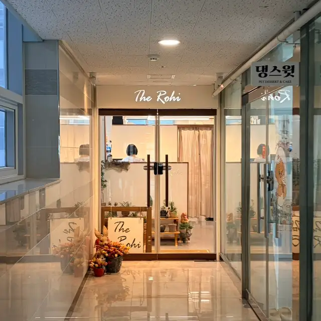 더로이 사진 6