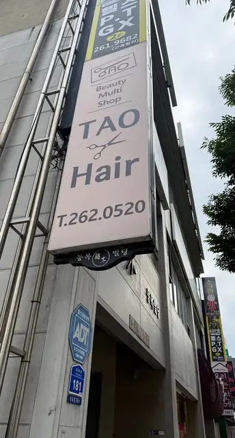 타오헤어 사진 4