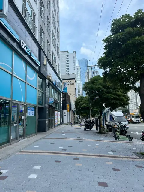 네일피오르 사진 2