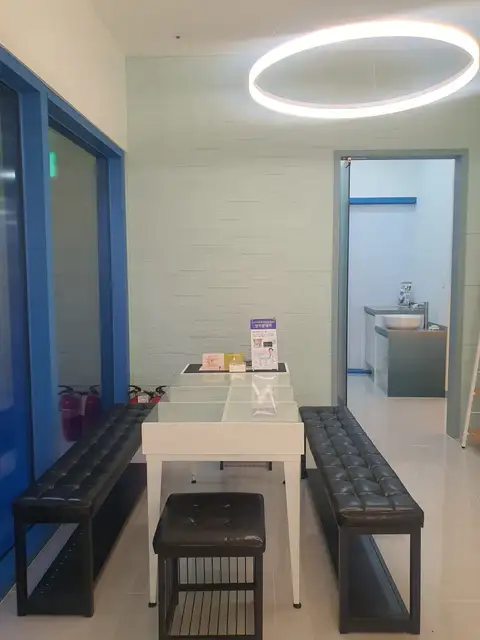 에스텔라 사진 6